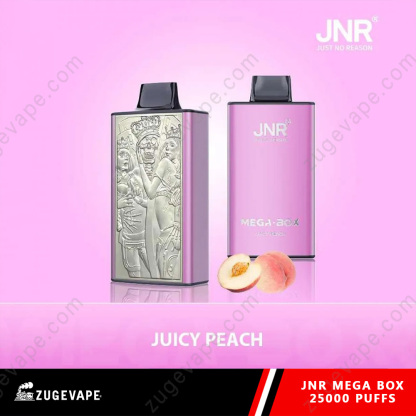 JNR Mega Box 25000 Puffs Dual Mesh Disposable Vape-Kamrytech