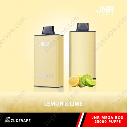 JNR Mega Box 25000 Puffs Dual Mesh Disposable Vape-Kamrytech