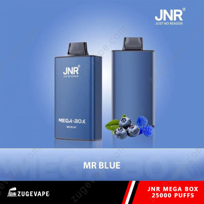 JNR Mega Box 25000 Puffs Dual Mesh Disposable Vape-Kamrytech