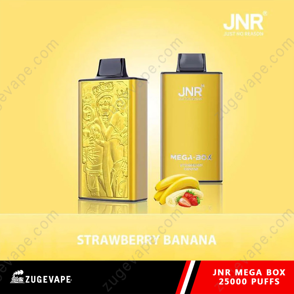 JNR Mega Box 25000 Puffs Dual Mesh Disposable Vape-Kamrytech