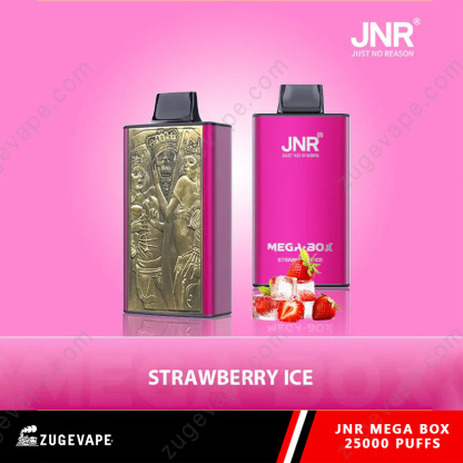 JNR Mega Box 25000 Puffs Dual Mesh Disposable Vape-Kamrytech