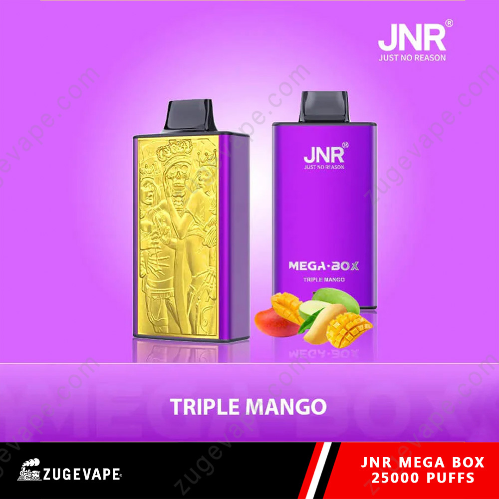 JNR Mega Box 25000 Puffs Dual Mesh Disposable Vape-Kamrytech
