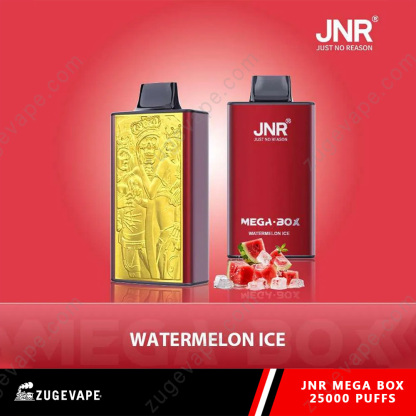 JNR Mega Box 25000 Puffs Dual Mesh Disposable Vape-Kamrytech