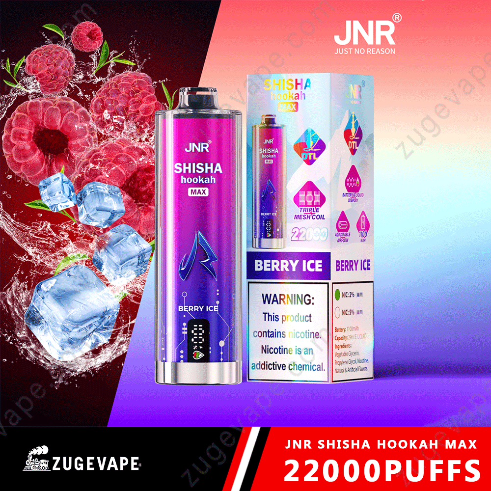 JNR Shisha Max 22000 Puffs Buy Vapes Online Disposable e-cigarettes-Kamrytech