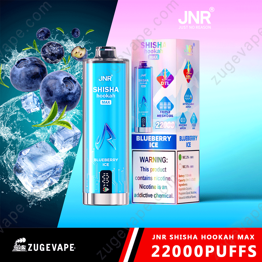 JNR Shisha Max 22000 Puffs Buy Vapes Online Disposable e-cigarettes-Kamrytech