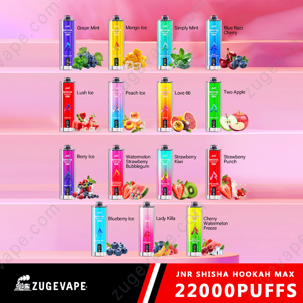 JNR Shisha Max 22000 Puffs Buy Vapes Online Disposable e-cigarettes-Kamrytech