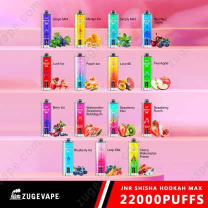 JNR Shisha Max 22000 Puffs Buy Vapes Online Disposable e-cigarettes-Kamrytech