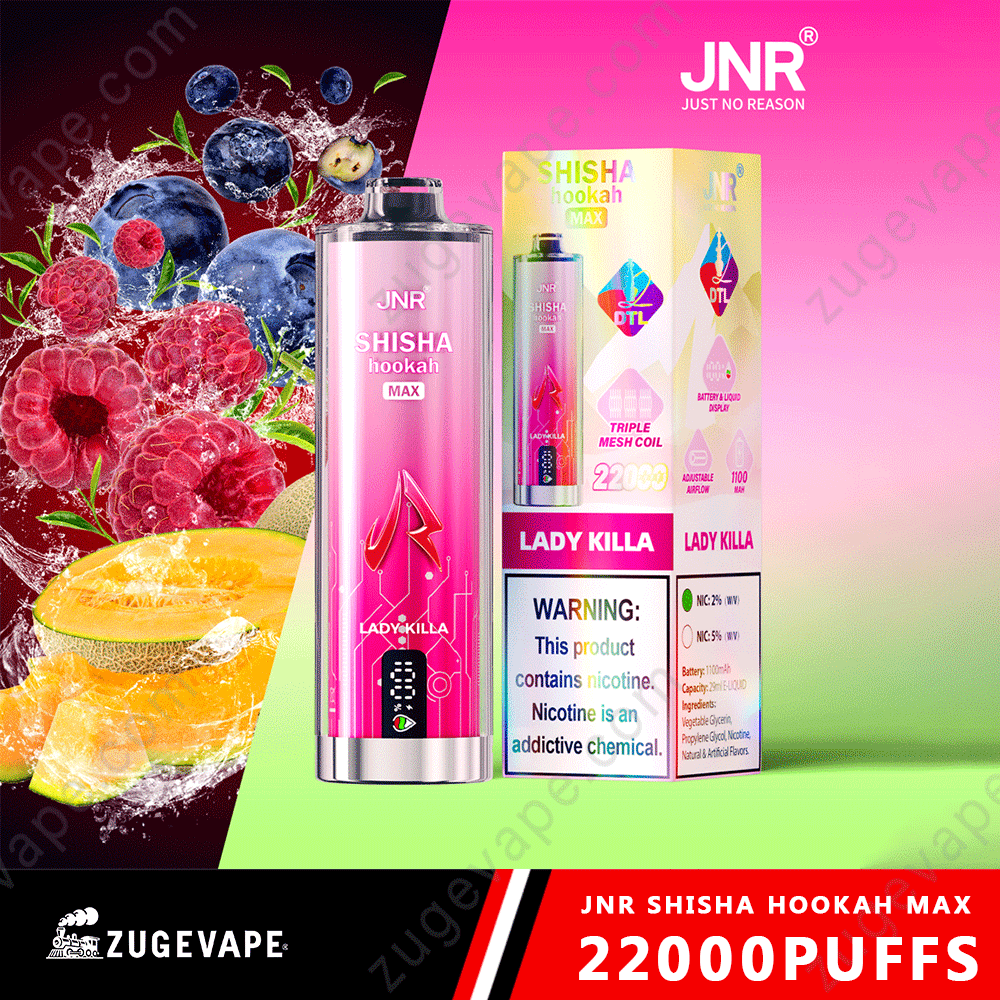 JNR Shisha Max 22000 Puffs Buy Vapes Online Disposable e-cigarettes-Kamrytech