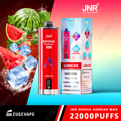 JNR Shisha Max 22000 Puffs Buy Vapes Online Disposable e-cigarettes-Kamrytech