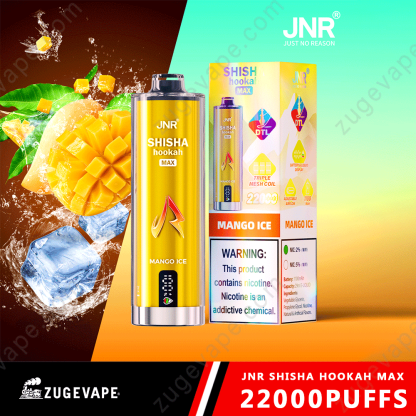 JNR Shisha Max 22000 Puffs Buy Vapes Online Disposable e-cigarettes-Kamrytech