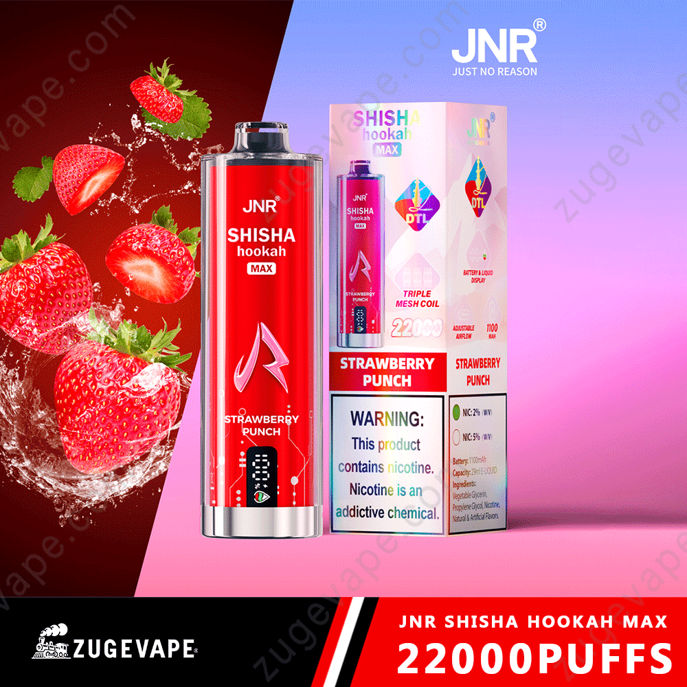 JNR Shisha Max 22000 Puffs Buy Vapes Online Disposable e-cigarettes-Kamrytech