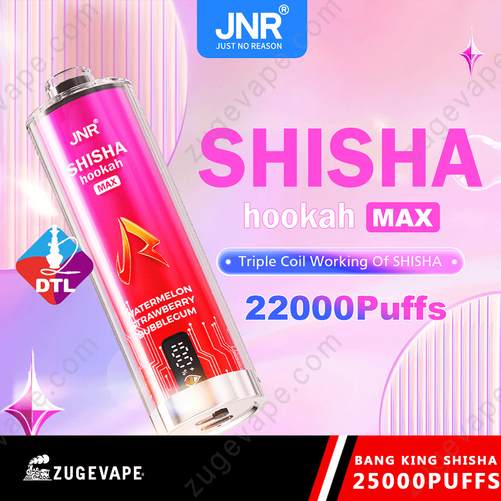 JNR Shisha Max 22000 Puffs Buy Vapes Online Disposable e-cigarettes-Kamrytech