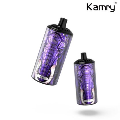Kamry Boss 10000 Puffs Disposable Vape-Kamrytech