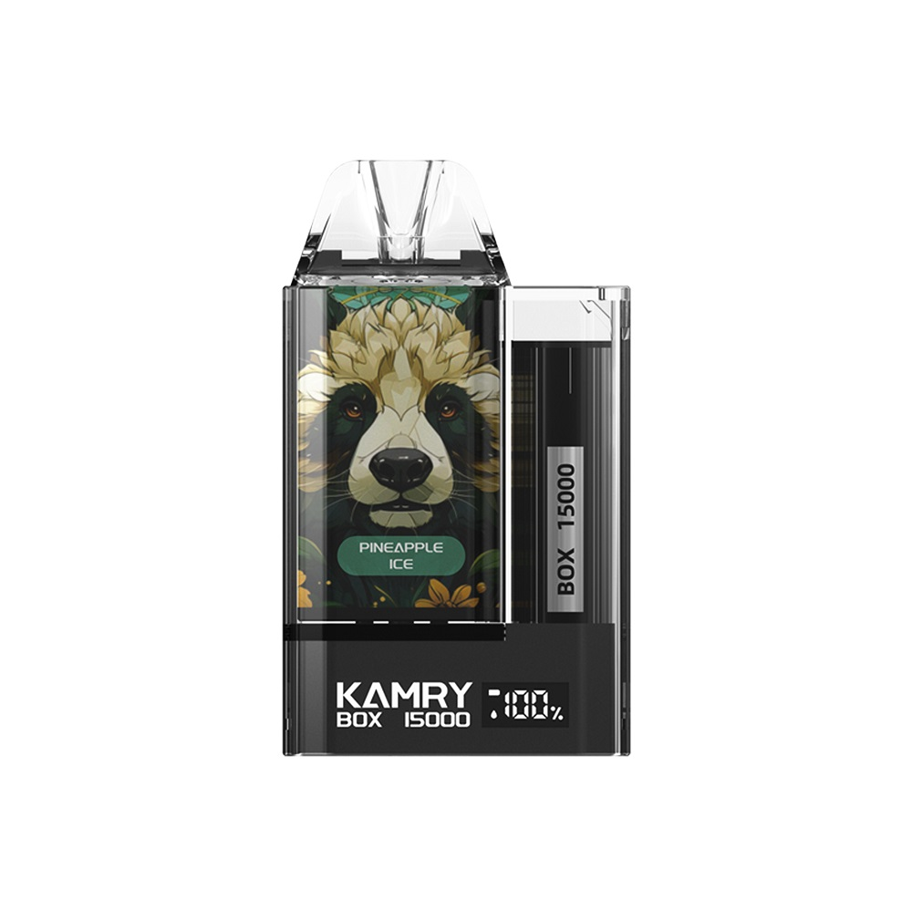 Kamry Box 15000 Puffs Disposable Vape-Kamrytech