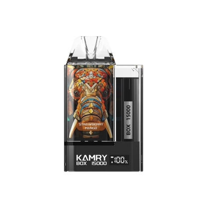 Kamry Box 15000 Puffs Disposable Vape-Kamrytech