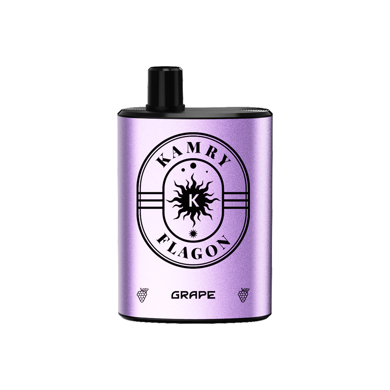 Kamry Flagon 8000 Puffs Disposable Vape-kamryvape