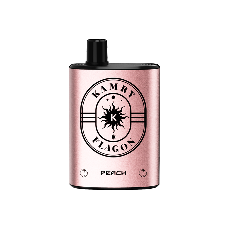 Kamry Flagon 8000 Puffs Disposable Vape-Kamrytech