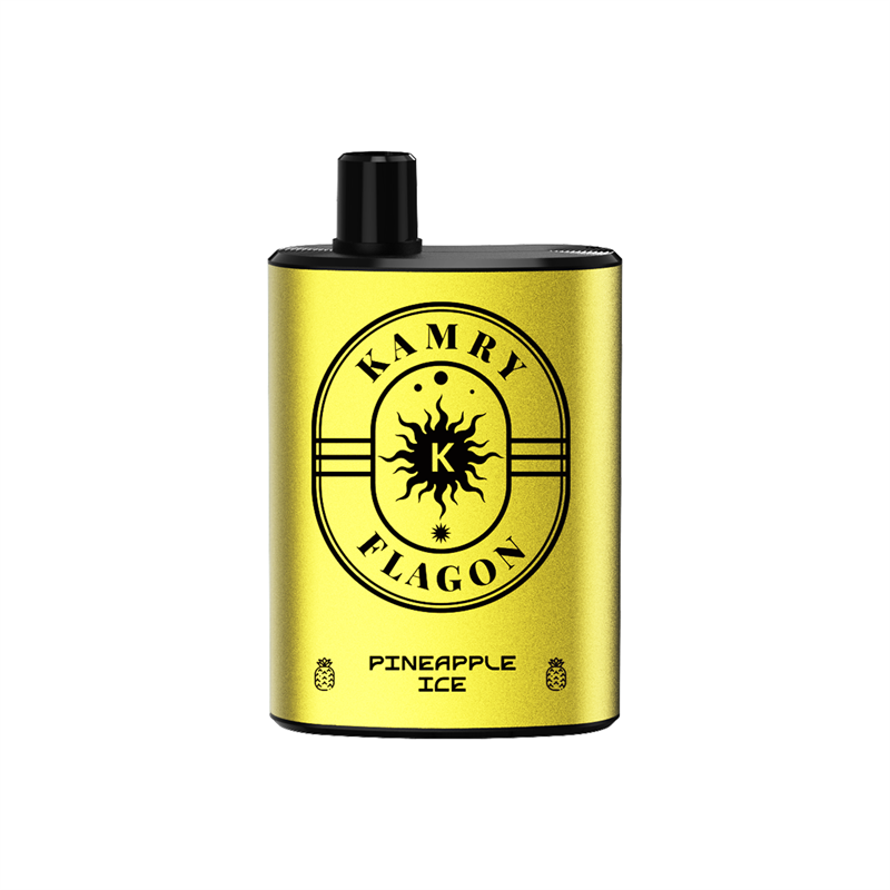 Kamry Flagon 8000 Puffs Disposable Vape-Kamrytech