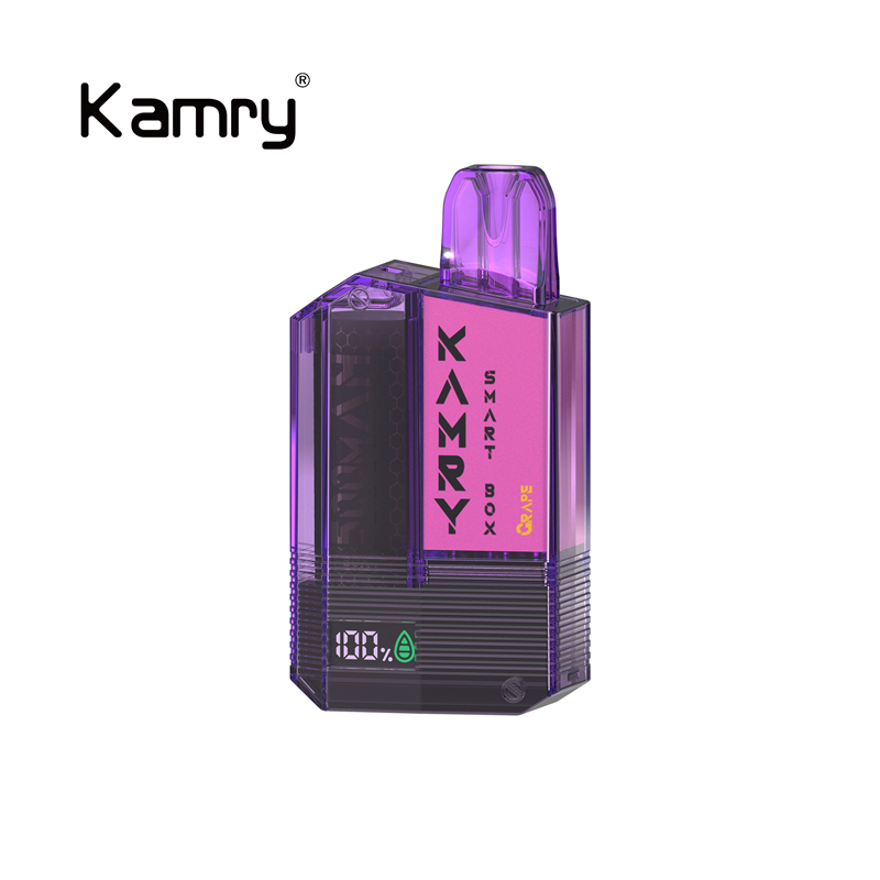 Kamry Smart Box 600 Puffs Disposable Vape-Kamrytech