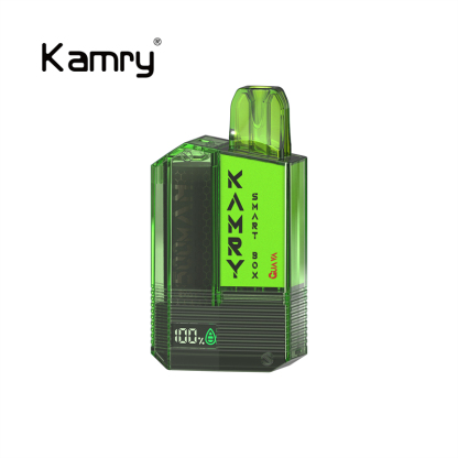 Kamry Smart Box 600 Puffs Disposable Vape-Kamrytech