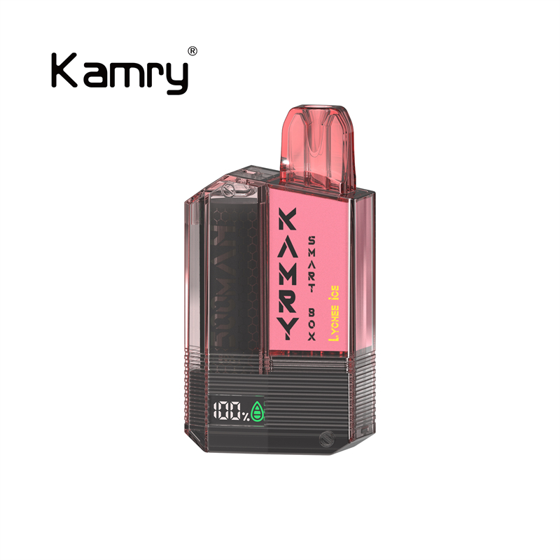 Kamry Smart Box 600 Puffs Disposable Vape-Kamrytech