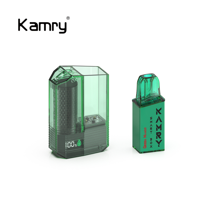 Kamry Smart Box: 600 Puffs, 2ml Capacity-Kamrytech
