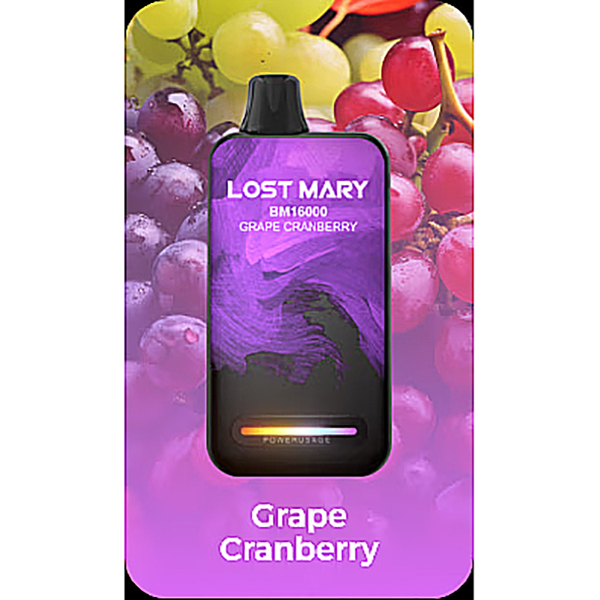 Lost Mary BM16000 Puffs Disposable Vape-Kamrytech