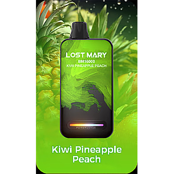 Lost Mary BM16000 Puffs Disposable Vape-Kamrytech