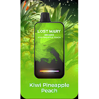 Lost Mary BM16000 Puffs Disposable Vape-Kamrytech