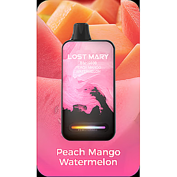 Lost Mary BM16000 Puffs Disposable Vape-Kamrytech