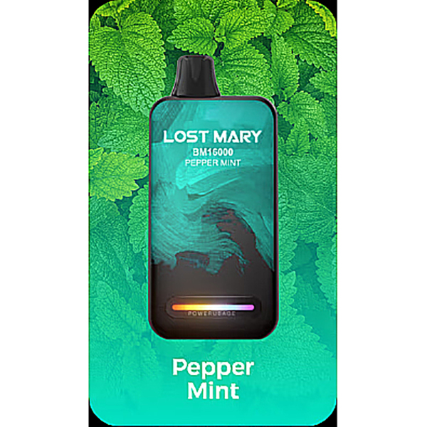Lost Mary BM16000 Puffs Disposable Vape-Kamrytech