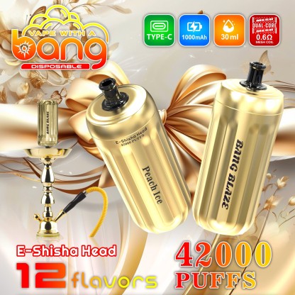 Bang Blaze 42000 Puffs 42K E-Shisha Head Disposable Vape