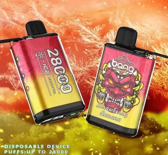 Bang 28000 Ice 28k  Puffs Disposable Vapes-kamryvape
