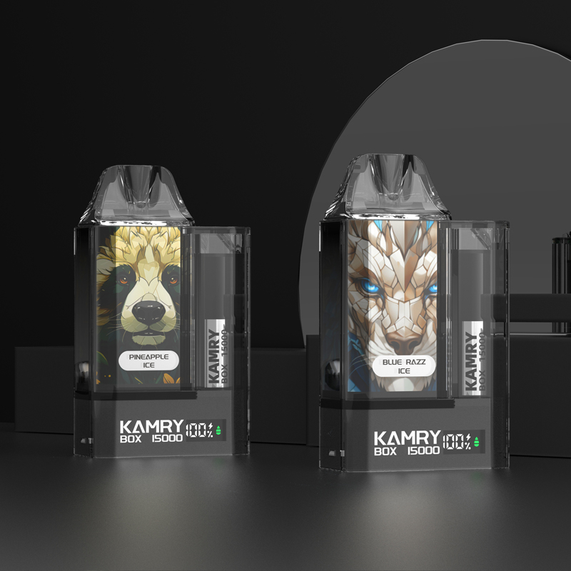 Kamry Box 15000 Disposable Vape-Kamrytech
