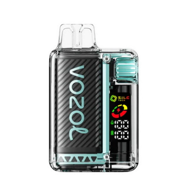 Vozol Vista 20000 Puffs Rechargeable Disposable Vape-Kamrytech