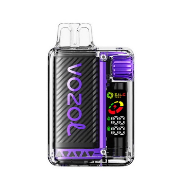 Vozol Vista 20000 Puffs Rechargeable Disposable Vape-Kamrytech