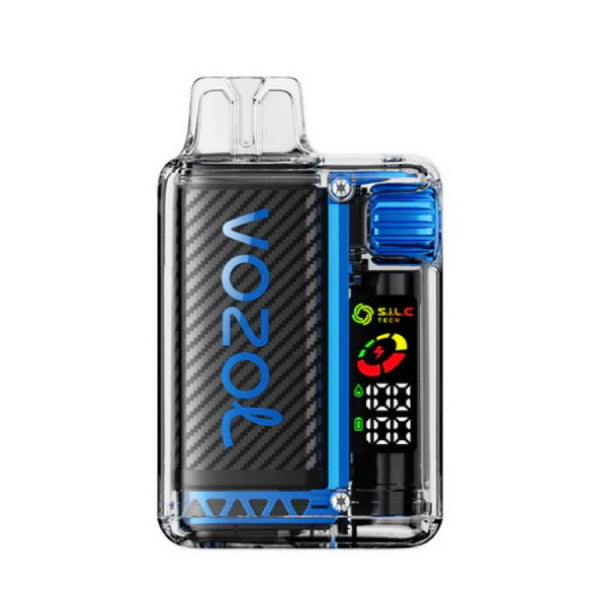 Vozol Vista 20000 Puffs Rechargeable Disposable Vape-Kamrytech