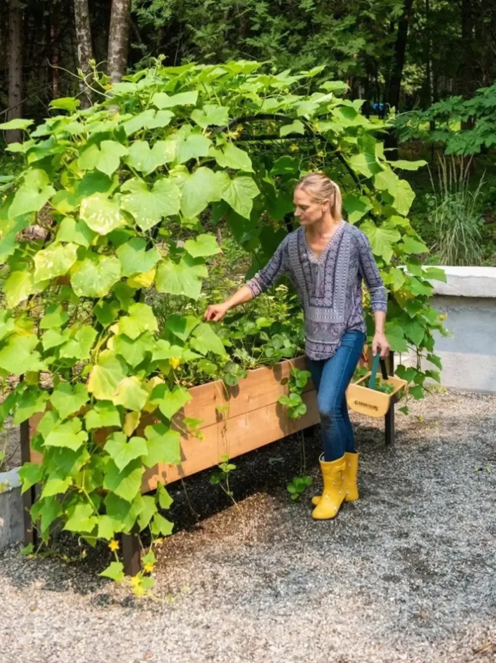 🌷Spring Clearance Sale ⚡ Limited Stock-Only $ 24.98 EACH🔥8' X 2' x 4' Self-Watering Eco-Stained Elevated Planter Box+ Arch Trellis