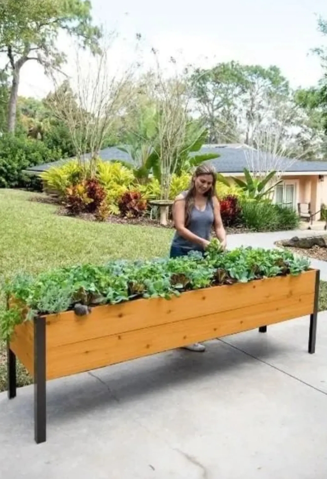 🌷Spring Clearance Sale ⚡ Limited Stock-Only $ 24.98 EACH🔥8' X 2' x 4' Self-Watering Eco-Stained Elevated Planter Box+ Arch Trellis