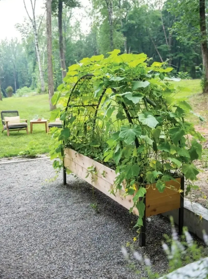 🌷Spring Clearance Sale ⚡ Limited Stock-Only $ 24.98 EACH🔥8' X 2' x 4' Self-Watering Eco-Stained Elevated Planter Box+ Arch Trellis
