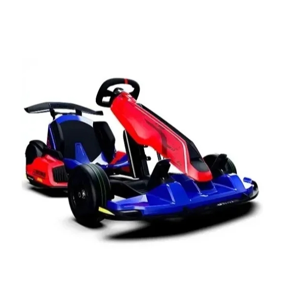 🔥Clearance Sale🔥Smart 2 in 1 Go Karts