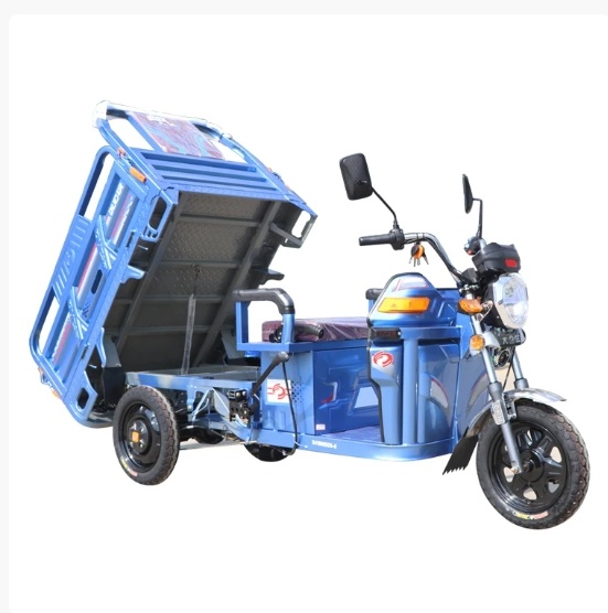 💖Last Day Clearance Sale💥 - Heavy Electric Cargo MAX ETRIKE