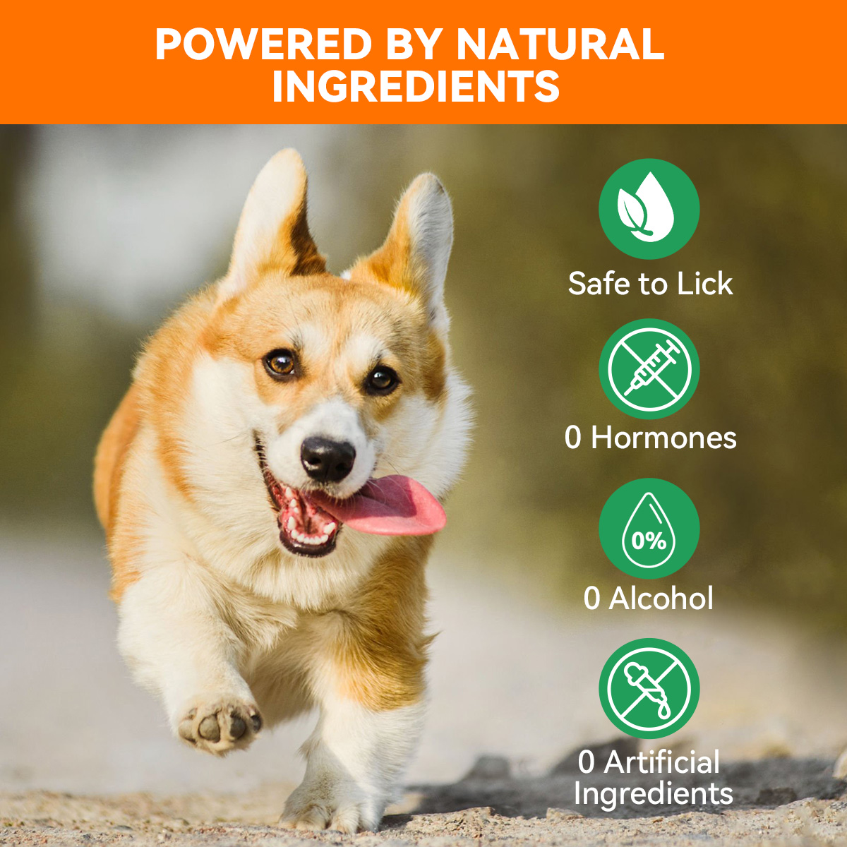 Puainta® Natural Hot Spot Spray for Dogs and Cats
