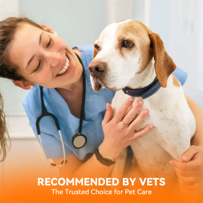 Puainta® Natural Hot Spot Spray for Dogs and Cats
