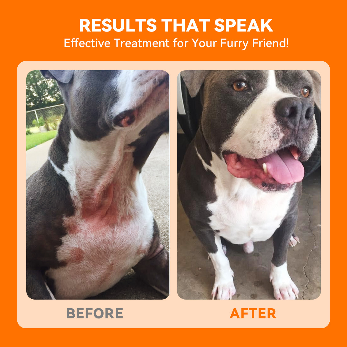 Puainta® Quantum Silver Skin Spray for Dogs/ Cats