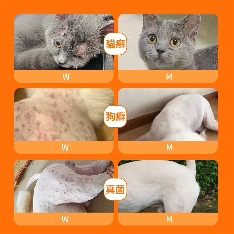 Pipot - Cat and Dog Skin Allergy/Redness/Itching/Hair Loss