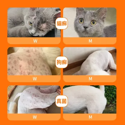 Pipot - Cat and Dog Skin Allergy/Redness/Itching/Hair Loss