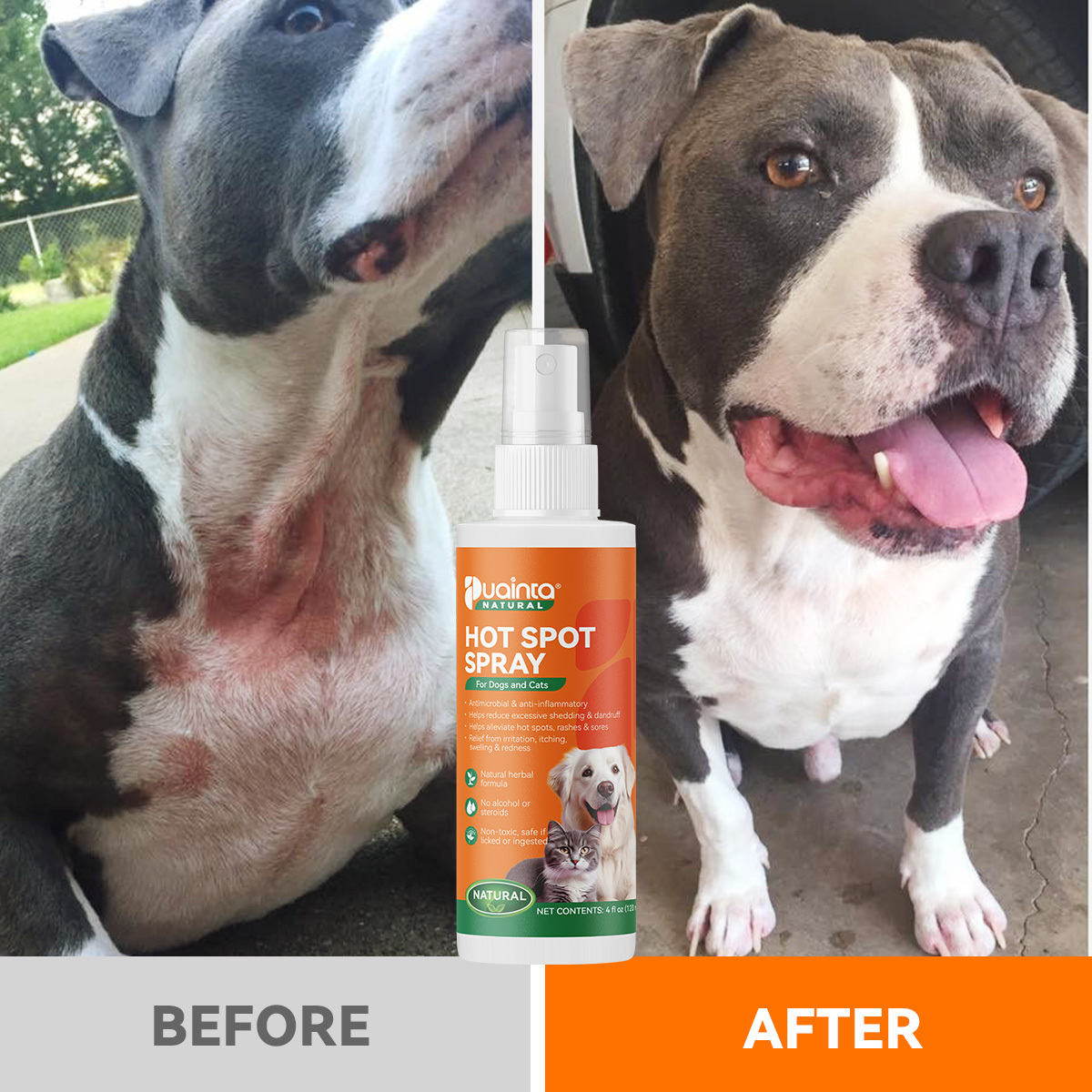 Puainta® Natural Hot Spot Spray for Dogs and Cats
