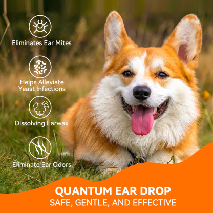 Puainta® Quantum Ear Drop Relieves itching, Cleans Ear Wax
