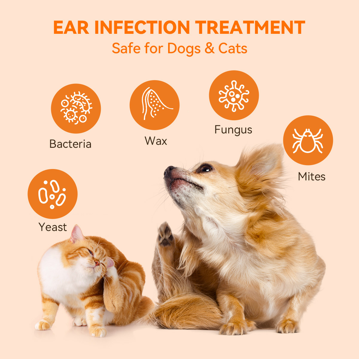 Puainta® Quantum Ear Drop Relieves itching, Cleans Ear Wax
